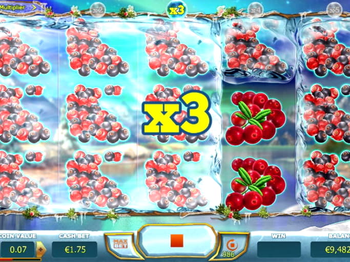 195 free spins at Royal Dubai Casino