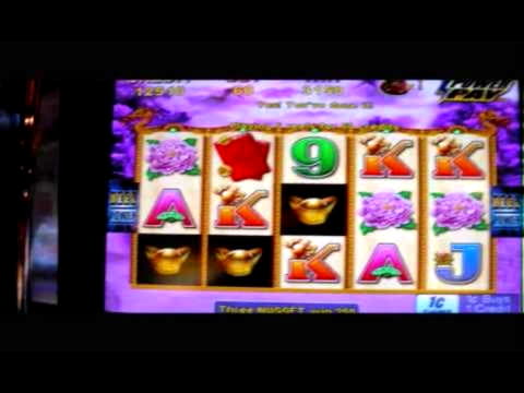 745% Best signup bonus casino at Mongoose Casino