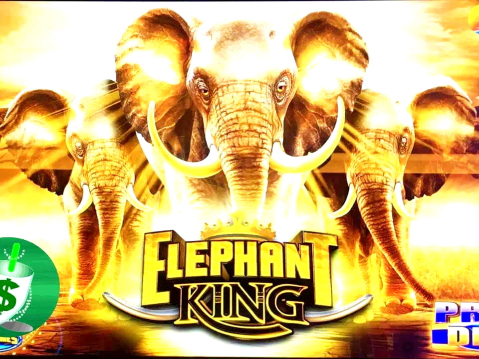 €110 Online Casino Tournament at 7 Spins Casino