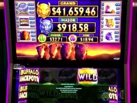 700% Best Signup Bonus Casino at Betzest Casino