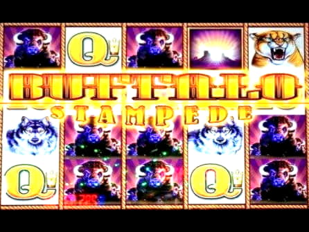 Eur 2675 No deposit casino bonus at Zet Casino
