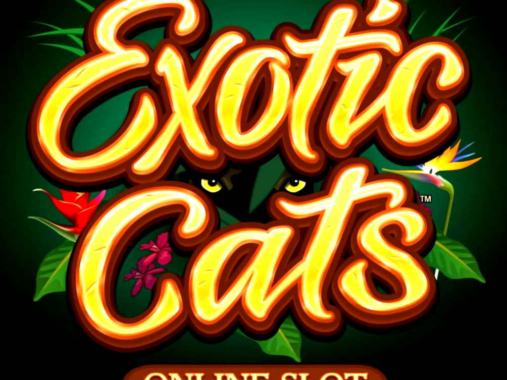 EUR 145 Free Cash at Boa Boa Casino