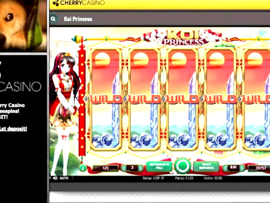 EUR 220 Free chip at Video Slots Casino