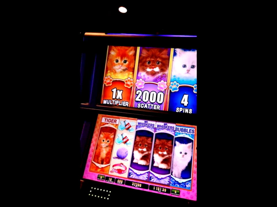 ﻿$480 Free Chip Casino at Royal Dubai Casino