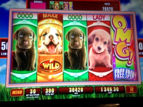 £805 Daily freeroll slot tournament at Bet Rebels Casino