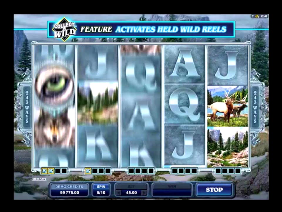 €10 Casino tournaments freeroll at Leo Dubai Casino