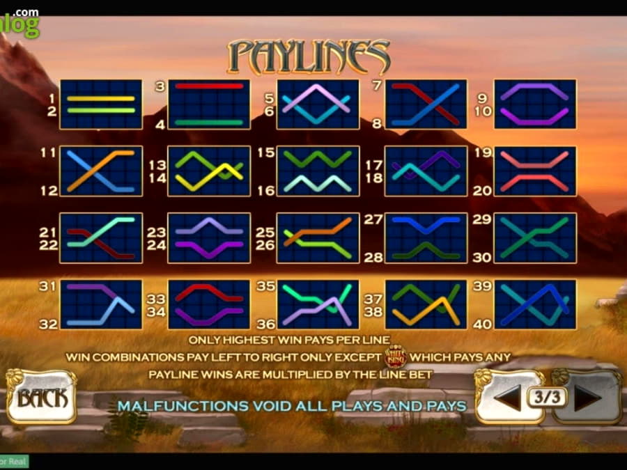 77 Loyalty Free Spins! at 7 Reels Casino