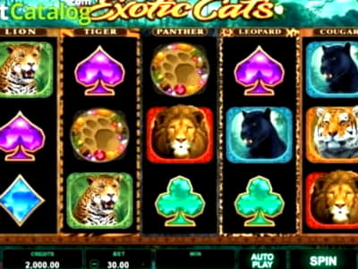 €1190 No Deposit Bonus Code at Platinum Play Casino