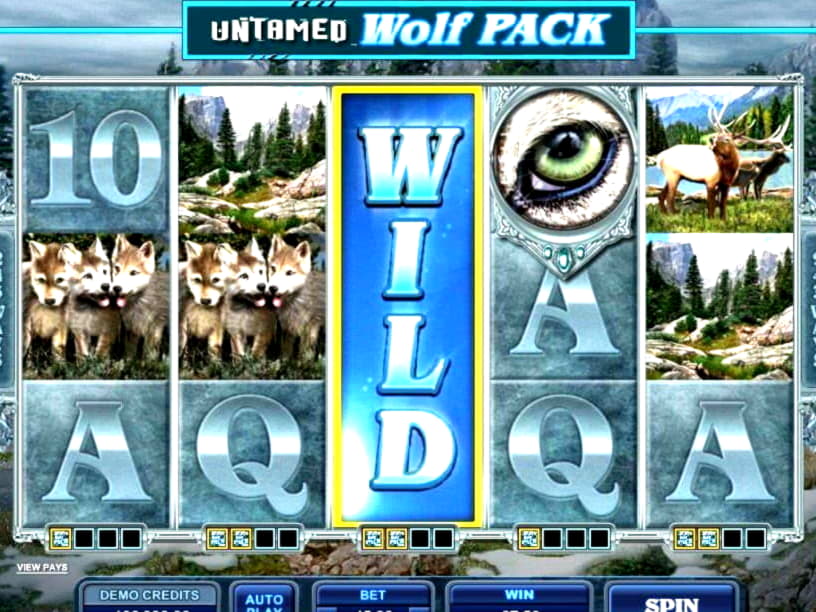 ﻿$65 Free Money at Unique Casino