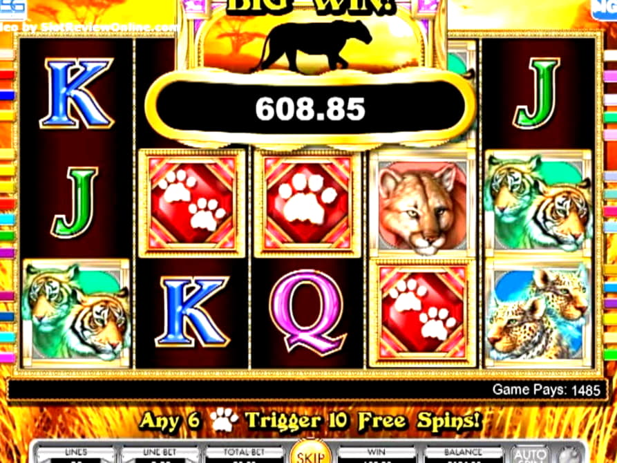 740% Best Signup Bonus Casino at Royal Dubai Casino