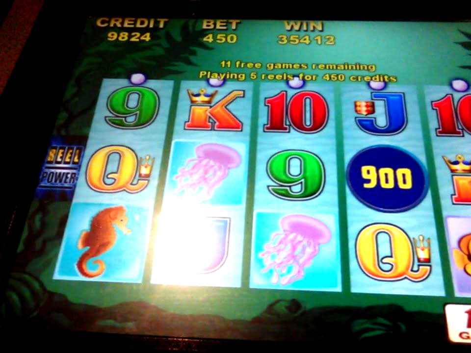 365% No Rules Bonus! at 7 Reels Casino