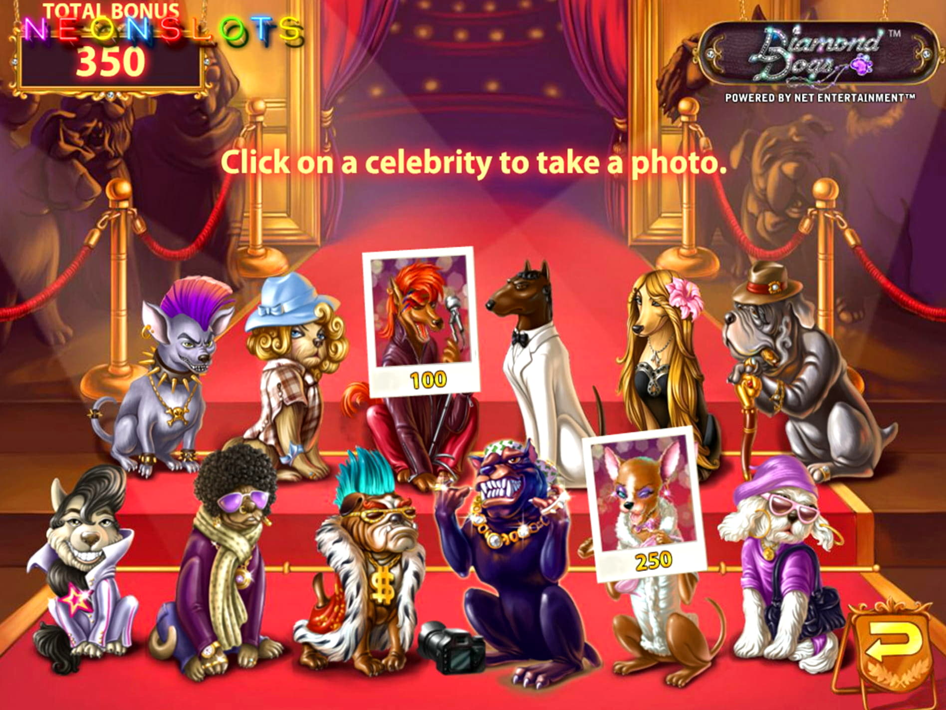 EUR 1500 no deposit bonus casino at 7 Reels Casino