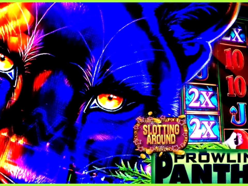 EURO 730 Casino tournaments freeroll at Betzest Casino