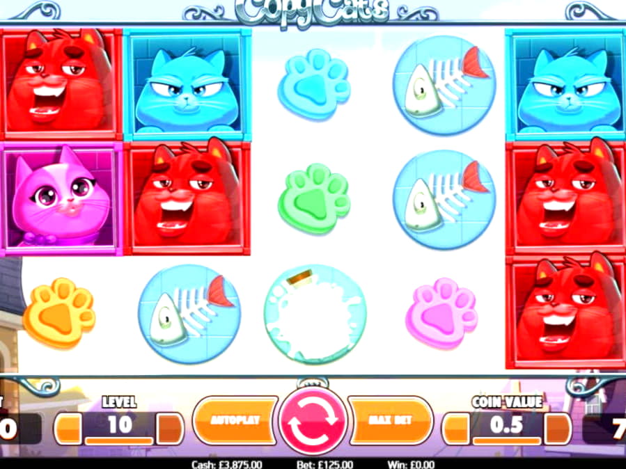 730% First Deposit Bonus at Boa Boa Casino