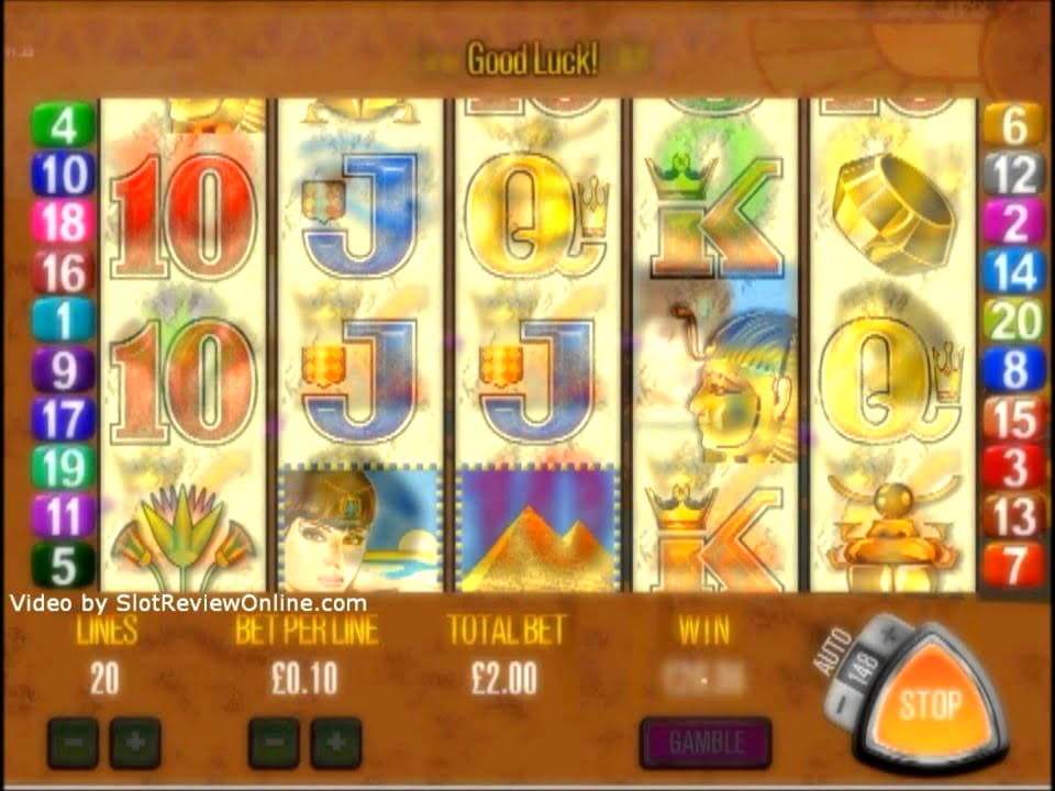 225 Free Spins right now at Leo Dubai Casino