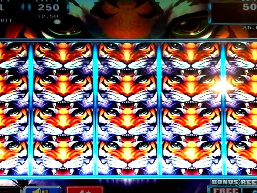 15 Free Spins Casino at LSbet Casino