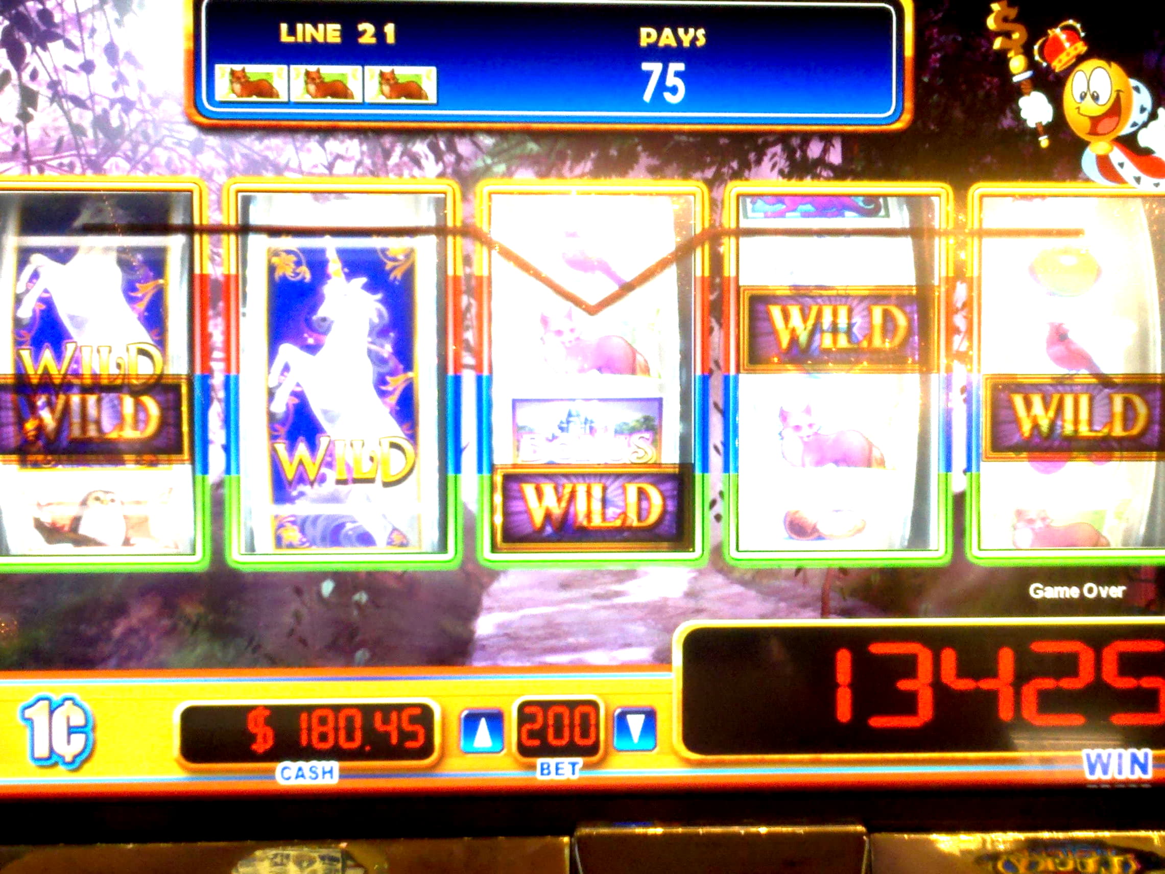 ﻿$2990 No Deposit Bonus Casino at Mongoose Casino