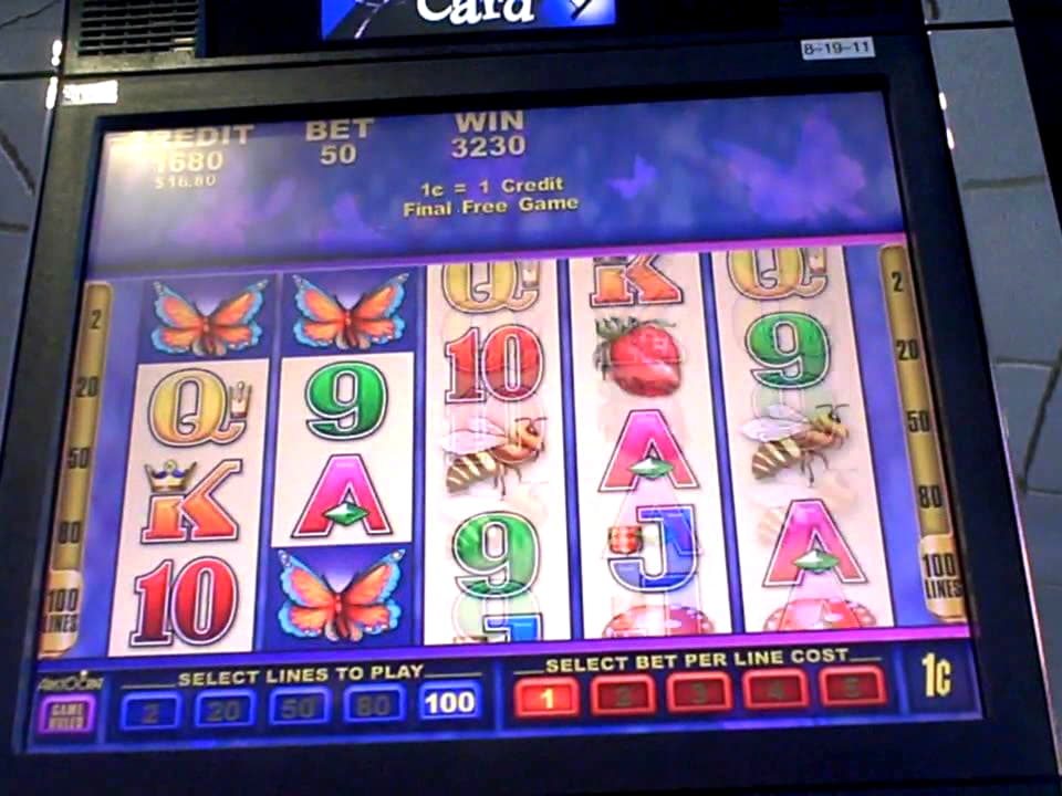 230 Free Spins right now at CasiPlay Casino
