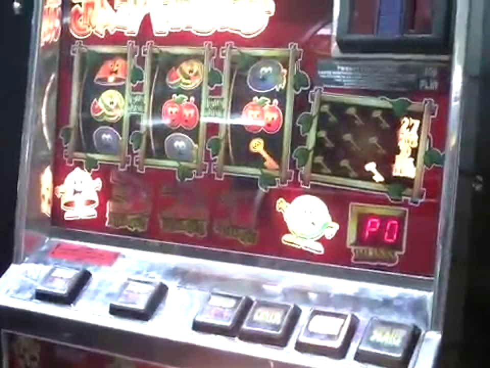$66 Casino Tournament at Mongoose Casino