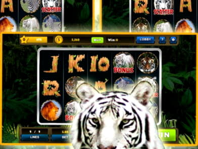 EUR 465 casino chip at Buran Casino