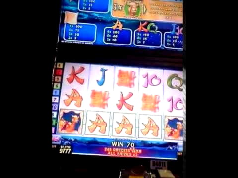 $4090 No deposit casino bonus at Leo Dubai Casino