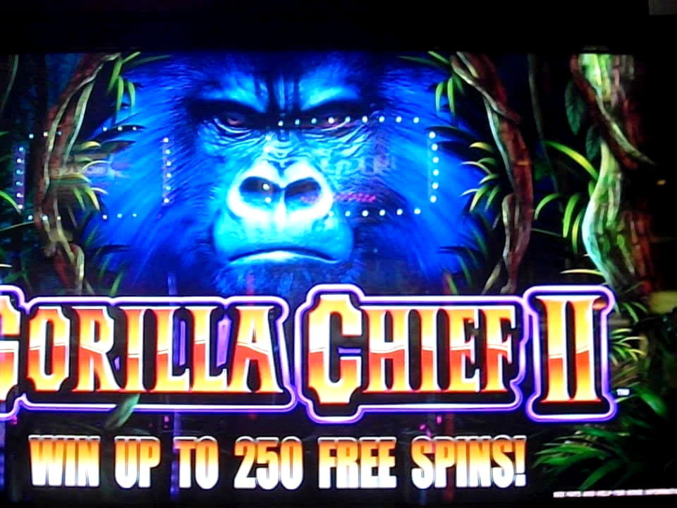 €710 Mobile freeroll slot tournament at Spin Palace Casino