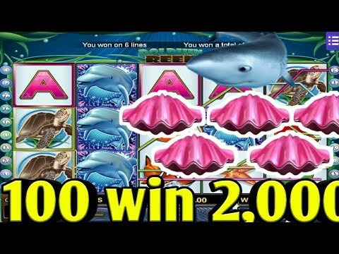 Dolphin reef Vs Great blue 100 win 2,000 free bonus game ll SGP II MEGA888 TODAY